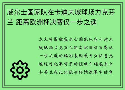 威尔士国家队在卡迪夫城球场力克芬兰 距离欧洲杯决赛仅一步之遥